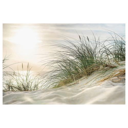 PJÄTTERYD Picture, grass on a dune, 118x78 cm