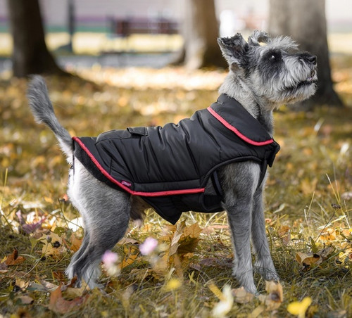 Zolux Dog Raincoat Cosmo T40 40cm, black