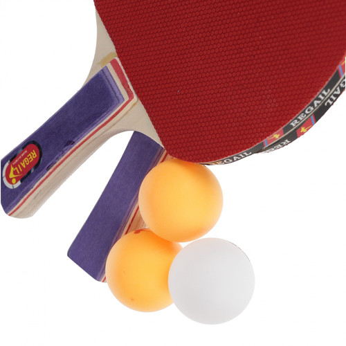Regail Table Tennis Set 14+