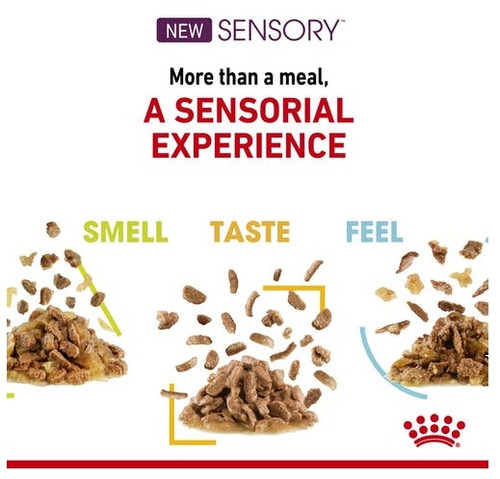 Royal Canin Sensory Taste Wet Food for Cats 85g