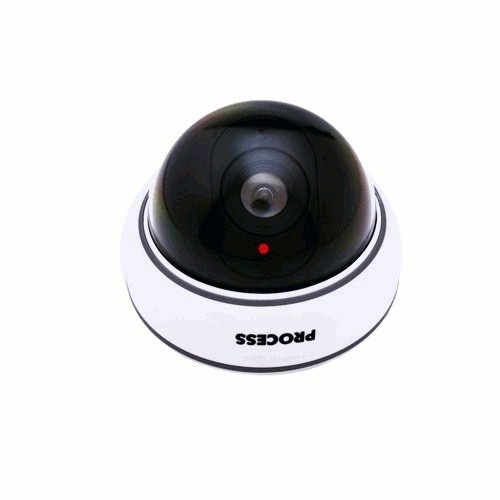 Dummy Camera DC2300