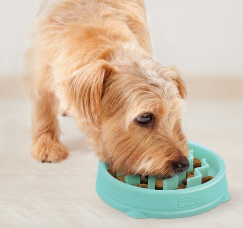 Outward Hound Fun Feeder Dog Bowl Slo Bowl Tiny XS, mint green