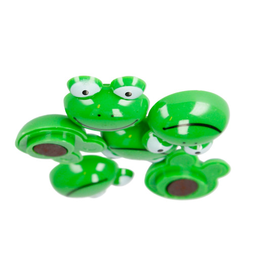 Magnets Frog 6pcs
