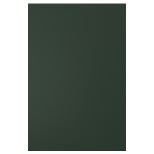 HAVSTORP Door, deep green, 40x60 cm
