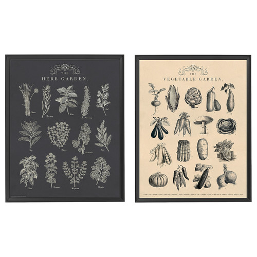 KNOPPÄNG Frame with poster, garden, 40x50 cm, 2 pack
