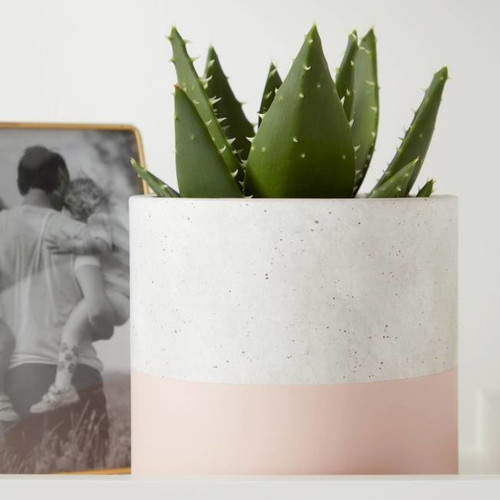 Plant Pot Concrete GoodHome 12 cm, pink