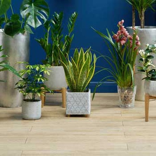 Plant Pot Cover, indoor, 14cm, grey