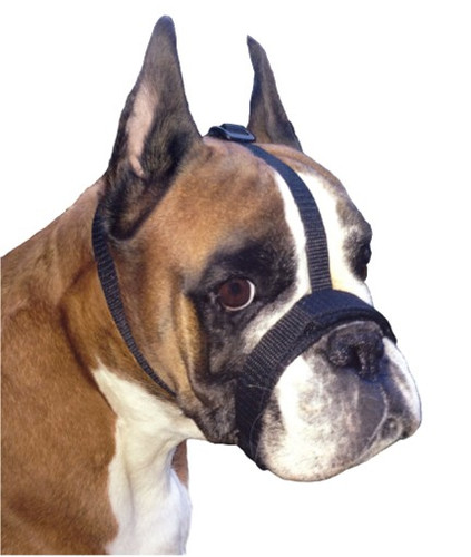 Grande Finale Adjustable Muzzle for Brachycephalic Breeds Size 5 (26-33cm)