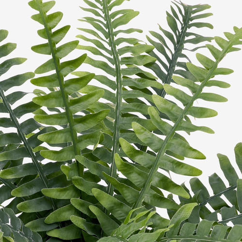 FEJKA Artificial potted plant, in/outdoor fern, 15 cm