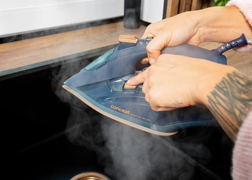 Concept Steam iron ZN9110