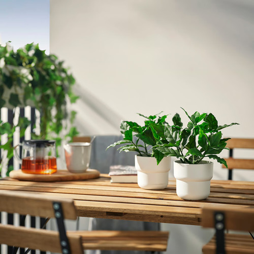 FEJKA Artificial potted plant, in/outdoor/sweet bay, 9 cm