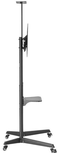 NewStar Floor Stand 37-70" 50kg FL50-550BL1