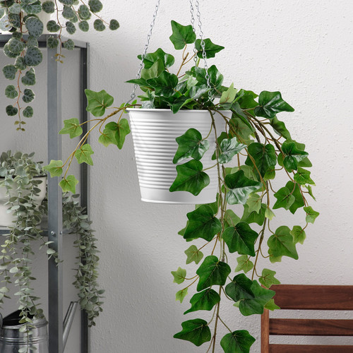 CASHEWÄPPLE Hanging planter, in/outdoor white, 15 cm