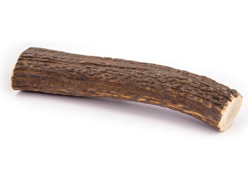 4DOGS Natural Dog Chew from Discarded Antlers, XXL+ Hard 1pc