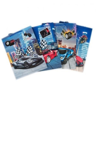 Gift Bag Cars 310x400, assorted, 12pcs