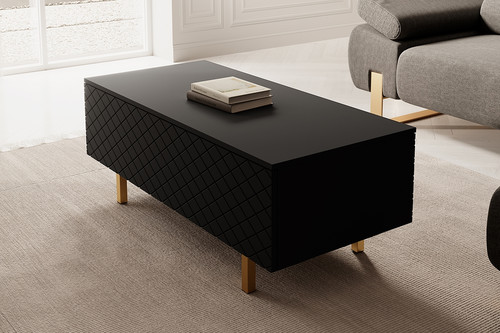 Coffee Table with Storage Scalia II 120, matt black, gold legs