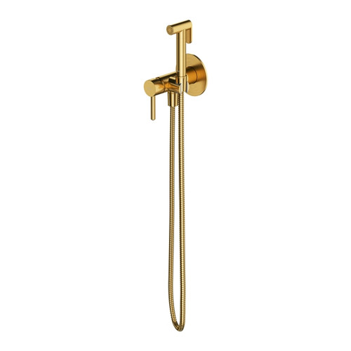 Omnires Concealed Bidet Set Preston, brushed gold