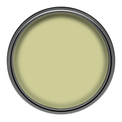 Dulux EasyCare Matt Latex Stain-resistant Paint 2.5l openly olive
