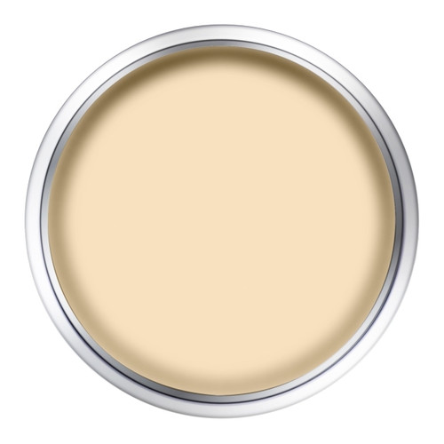 Dulux Colour Tester Weathershield Exterior Paint 250ml beige