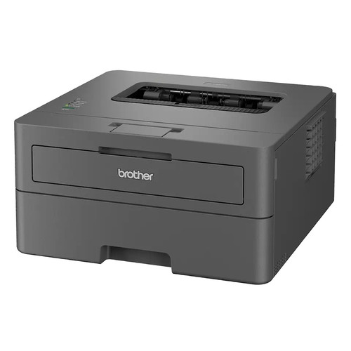 Brother Laser Printer HL-L2402D