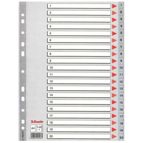 Esselte Index A4 PP 1-20 Numbers, grey
