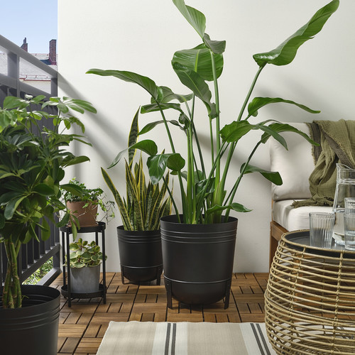 PÄRLRÖNN Plant pot, in/outdoor/black, 32 cm