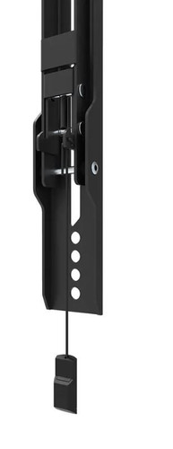 NewStar TV Wall Mount 32-65" 60kg WL35-550BL14