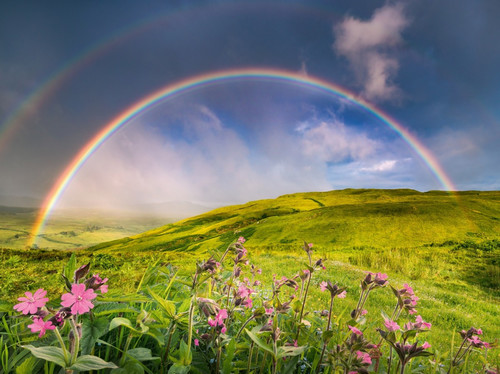 Ravensburger Jigsaw Puzzle 1500pcs Rainbow over the Meadow 14+
