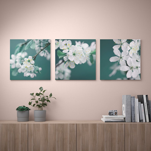 PJÄTTERYD Picture, set of 3, cherry blossom/white, 56x56 cm