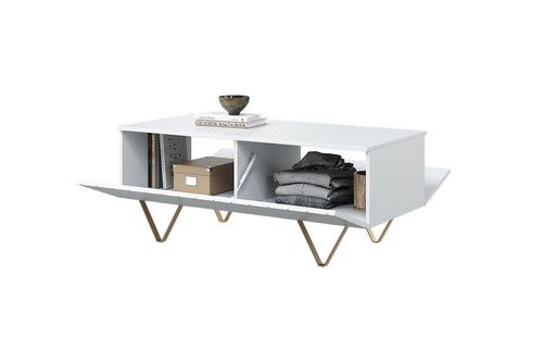 Coffee Table with Storage Scalia 120, matt white/gold legs