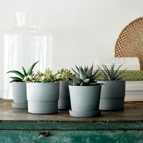 NYPON Plant pot, indoor/outdoor, grey, 9 cm