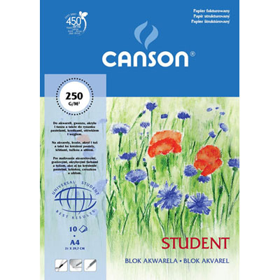 Canson Paper Pad for Watercolour Paints 30x40 250g 10 Sheets