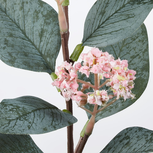 SMYCKA Artificial flower, Eucalyptus, pink, 30 cm