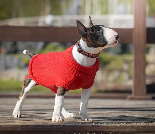 Zolux Dog Sweater Legend T35 35cm, red