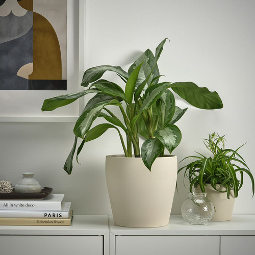 PERSILLADE Plant pot, light beige, 19 cm