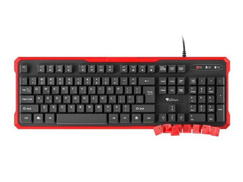 Gaming keyboard Genesis Rhod 110