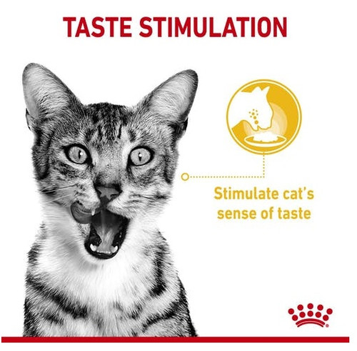 Royal Canin Sensory Taste Wet Food for Cats 85g