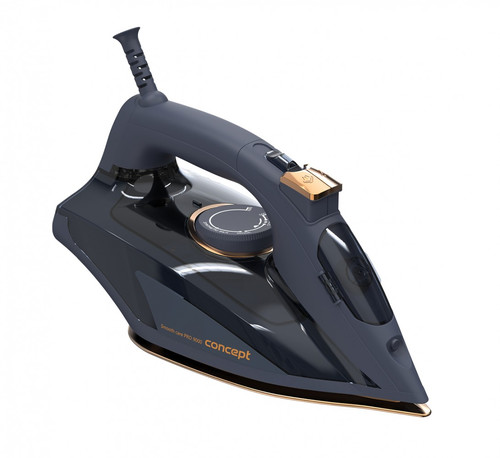 Concept Steam iron ZN9110