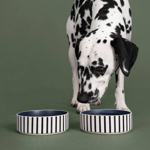 UTSÅDD Pet bowl, stripe pattern black-blue/dark blue, 15 cm