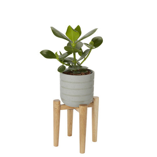 GoodHome Plant Pot Stand 12cm, wood