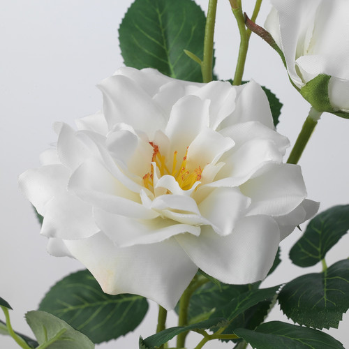 SMYCKA Artificial flower, in/outdoor/Rose white, 65 cm