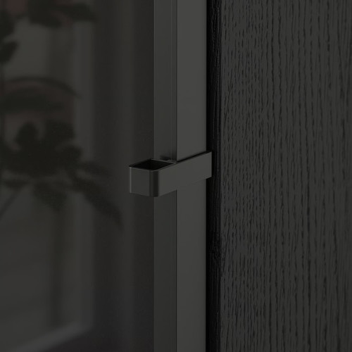 HÖGBO Glass door, black, 40x97 cm