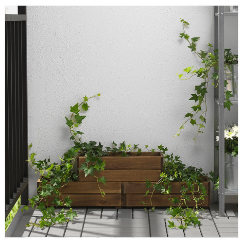 STJÄRNANIS Flower box, outdoor acacia, 43x15 cm