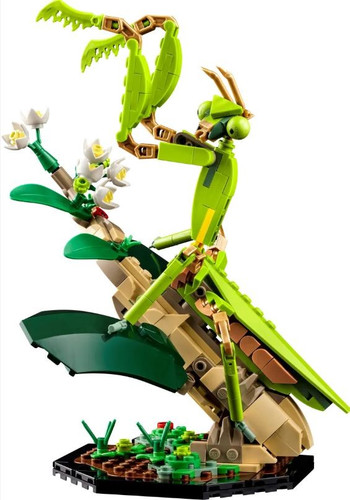 LEGO Ideas The Insect Collection 18+
