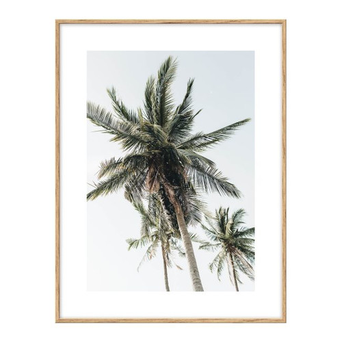 Picture Set Palm & Beach 30 x 40 cm 3-pack