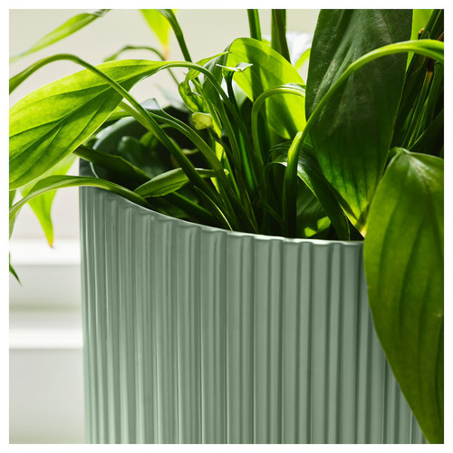 DAKSJUS Plant pot, light green, 15 cm