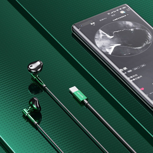 Wekome Headphones Earphones Wired USB-C Tarnish