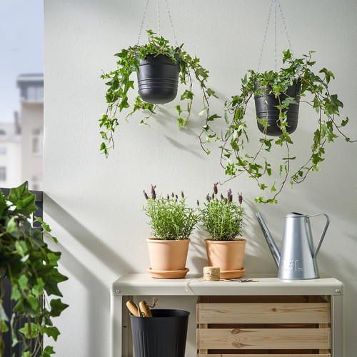 PÄRLRÖNN Hanging planter, in/outdoor/black, 15 cm