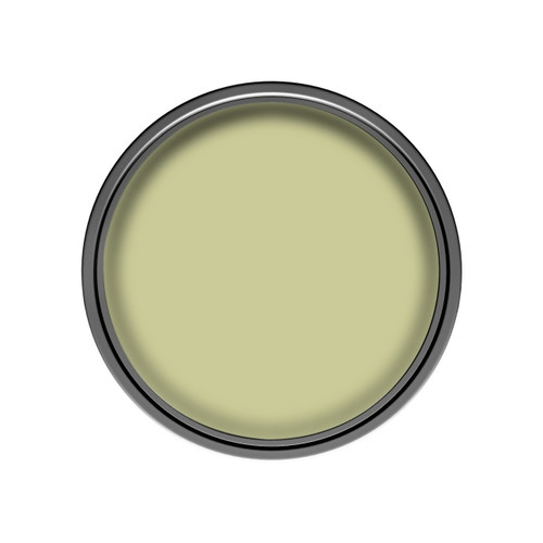 Dulux Walls & Ceilings Matt Latex Paint 5l openly olive