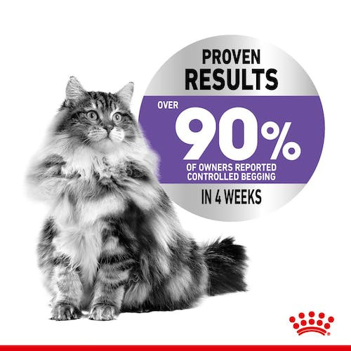 Royal Canin Appetite Control Care Cat Wet Food in Gravy 85g